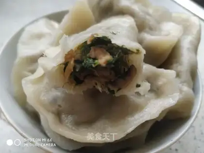 Pudu Insulin dumplings