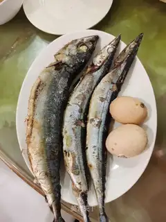 Salmon