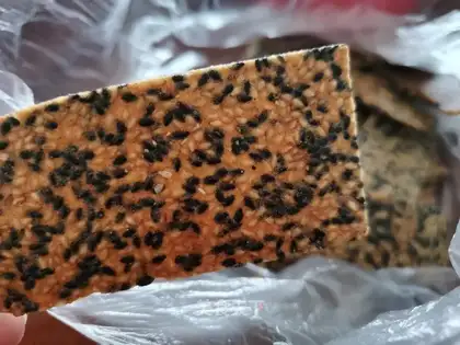 Sesame protein