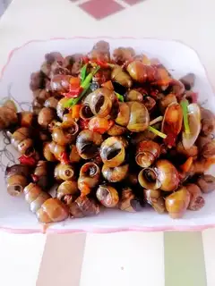 Snails