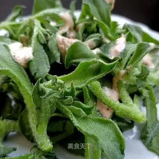 Icegrass salad