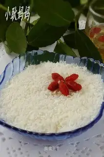 traversing snow, flowering plum
