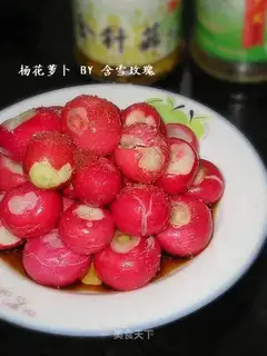 Populus radishes