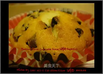 Chocolate Bean Muffin