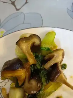 Mushroom oil