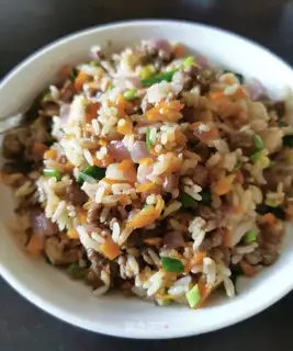 Beef grains of carrots and onion fried rice