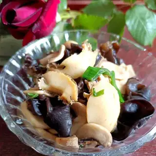 Wood-eared abalone