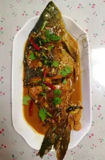 The carp