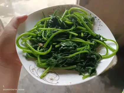 Potato leaves