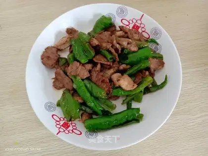 Fried meat