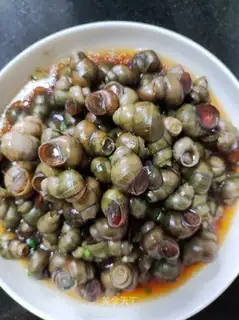 Snails