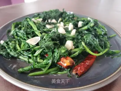 Garlic artery