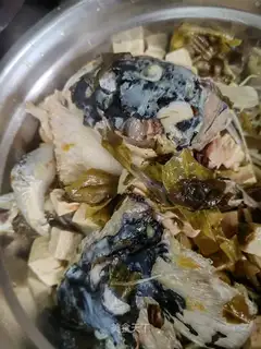 Tofu head