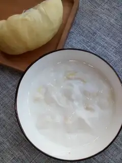 Grylene yogurt