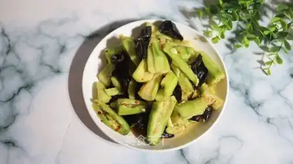 cucumber mollusk