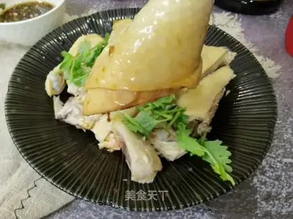 White chicken