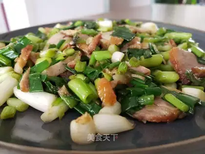 Onion fried meat