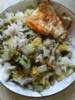 Vegetable rice