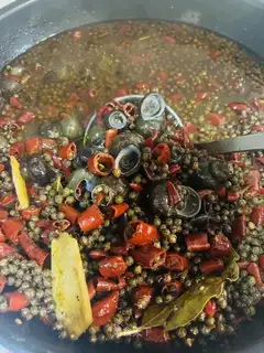 Snails