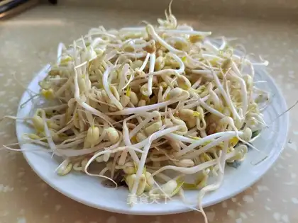 Auto green bean sprouts