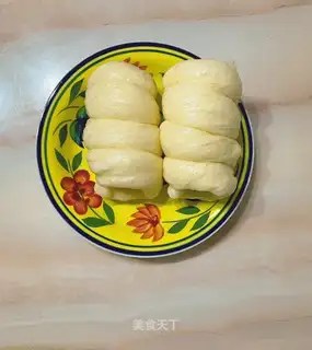 Intestines