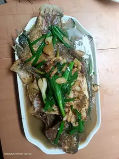 The saloon fish