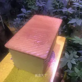 Corn oil, no toast