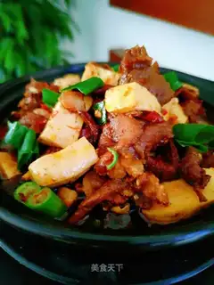 Cows, tofu