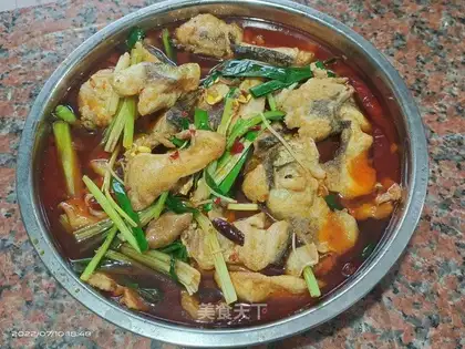 Fat intestine fish