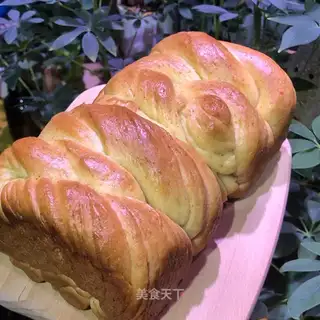Wheat sprouts