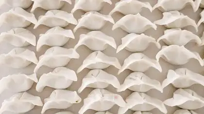 Pork dumplings