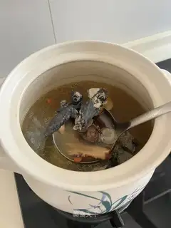 A chicken soup for blood