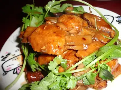 Lotus root hidden in the wings