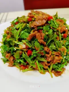 Beef gravy