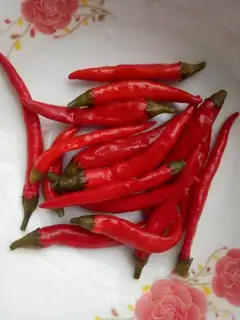 Homemade peppers