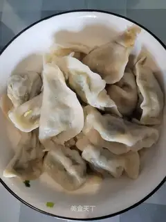 Shrimp dumplings