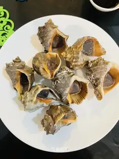 White burning conch