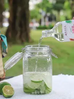 Lemon pickle