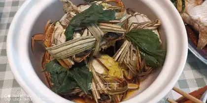 Yin and Krabs