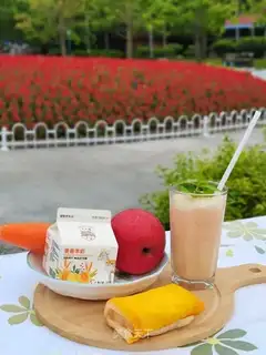 Lamb's milk apple carrot juice