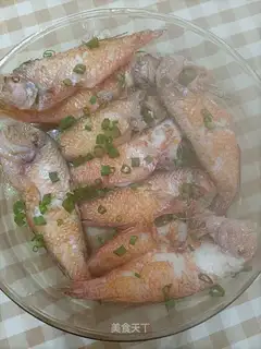 Parrot fish