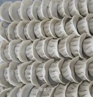 Handbag dumplings