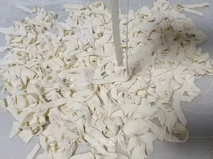Handmade noodles