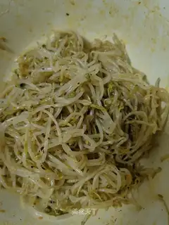 The green bean sprouts
