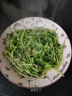 Splendid pea seed