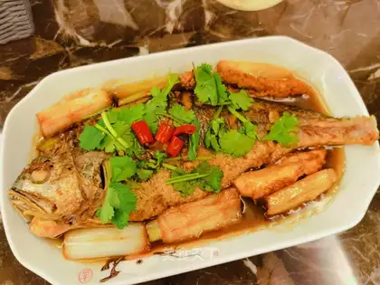 Burning yellow fish