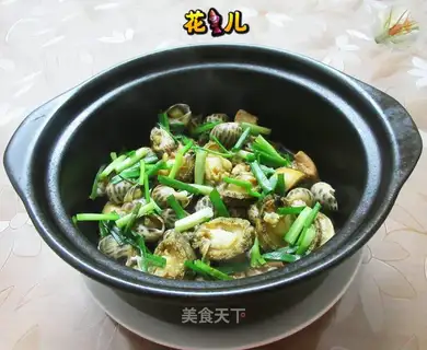 Abalone snail chicken