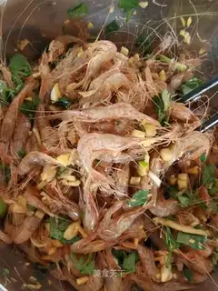 Shrimp
