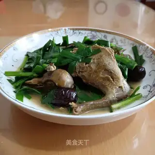 Dove soup