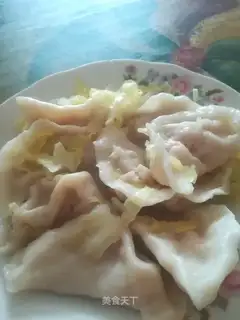 Shrimp dumplings